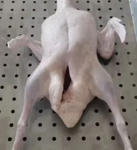 Duck Shawarma Whole Duck with Head No Feet