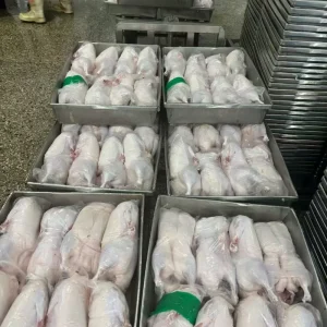 Ducks Raised in China’s Standardized Breeding Bases Through Scientific Feeding