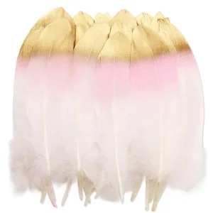 Dyed China Trading Manufacturer Factory Directly Real Printed Goose Feather