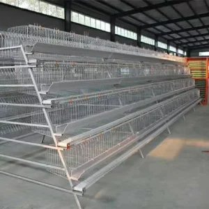 Egg Production Chicken Farm Full Automatic Layer Poultry Cages with Feeding Line System