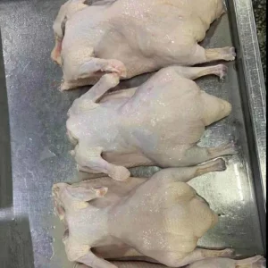 Essential for a Quick Meal This Frozen Stuffed Duck Is Convenient to Cook