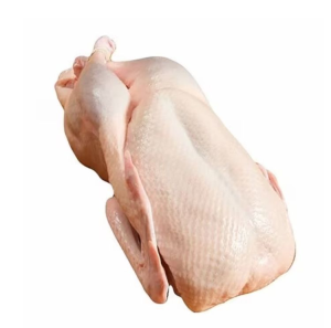 Exceptional Quality Whole Frozen Duck From a Leading China Manufacturer