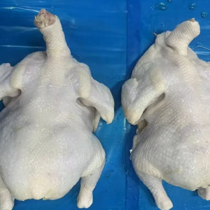 Export Grade Halal Certification Frozen Meat Frozen Whole Chicken