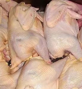 Export Quality Halal Frozen Whole Chicken for Resale