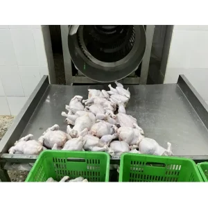 Factory Customization Chicken Pigeon Quail Slaughter Line Equipment Goose Rabbit Bird Duck Slaughter Line Equipment