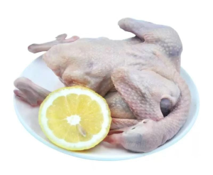 Factory Direct Export Whole Duck Frozen Whole Duck