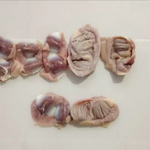 Factory Direct Price Frozen Chicken Gizzards for Export and Processing