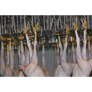 Factory Direct Sale Automatic Complete Poultry Duck Broiler Chicken Slaughterhouse Slaughtering Equipment Processing Cut up Line