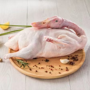 Factory Direct Sales Thick Meat Genuine Farm Style Frozen Whole Duck