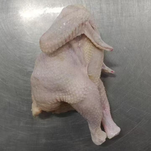 Factory Direct Supply Frozen Whole Chicken