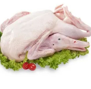 Factory Direct Supply Frozen Whole Duck