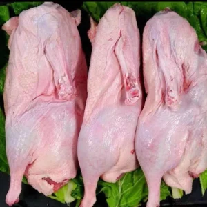 Factory Directly Supplies a Stable Source of Frozen Duck for Suits