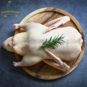 Factory Frozen Whole Duck Meat Made in China Fresh and Catering Price