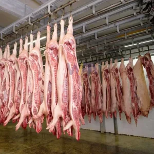 Factory Price Abattoir Equipment Livestock Butcher Tool Carcass Chilling Convey Line For Pig Slaughtering Machinery Line