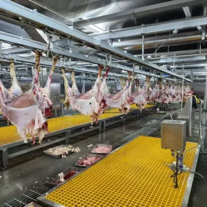 Factory Price Complete Sheep Slaughter Line Lamb Halal Slaughterhouse Equipment Goat Abattoir Machine