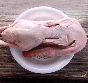 Factory Price Customized Packed High Quality Frozen Whole Duck