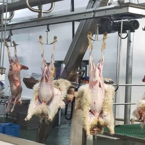 Factory Price Lamb Abattoir Skinning Machine Goat Slaughter Line For Sheep Slaughterhouse Butcher Equipment