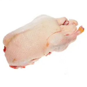 Factory Shipment Frozen Duck Packaged in Plastic Grade A Quality with ISO Certification