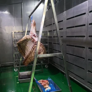 Factory Supplier Meat Defrosting Machine for Carcass Unfreeze Debone Abattoir