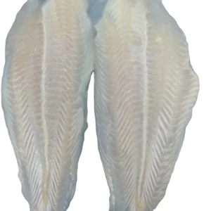 Factory Supply Frozen Pangasius Fillet in Fish Basa High Quality Vietnam