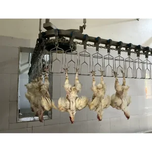 Factory Supply Stainless Chicken Slaughter Line Poultry Equipment Chicken Abbatoir Slaughter Equipment for Farm