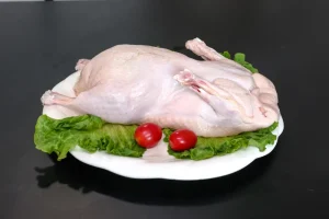 Feeding Export-Grade Frozen Suit Ducks on Farms with Uniform Size and Rich Nutrition