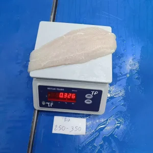 Filete De Pangasius Mariscos Congelados Frozen Pangasius Fish Basa Fish Vietnam