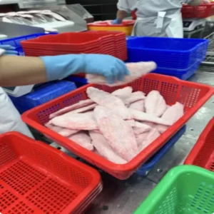 Fillet Frozen Pangasius in Fish