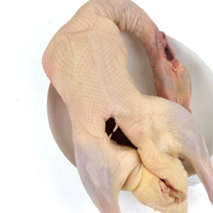 Free Range Frozen Whole Duck Fresh Additive Free Whole Duck High Quality Duck