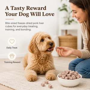Freeze-Dried Pork Liver Granules Cat & Dog Treats Bagged Pet Snacks Made in China for Puppies and Kittens