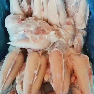Fresh Bulk Halal Frozen Chicken Breast Fillets with Bone for Sale Ready for Exporting