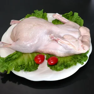 Fresh Delicious Frozen White Striped Duck for Hotels and Restaurants