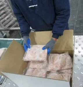 Fresh Frozen Bone in Whole Chicken Frozen Chicken Meat Chicken Breast