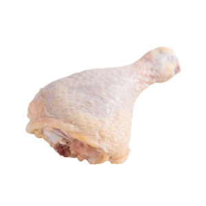 Fresh Frozen Chicken Drumstick High Quality Export