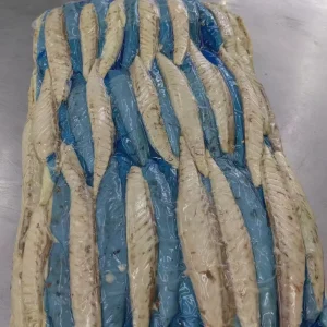 Fresh Frozen Pacific & Horse Mackerel Fillet Factory Canned Seafood Meat Boxed Bulk Seafood Product