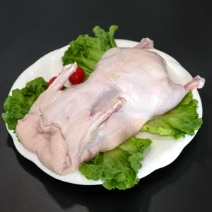 Fresh High Quality and Delicious Frozen Whole Duck with White Stripes