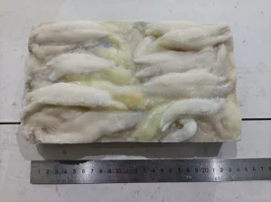 Fresh Illex Squid Strip