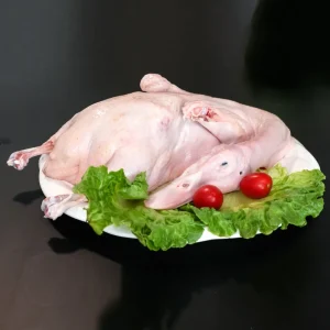 Fresh Intact Clean Processing Grain Fed Premium Quality Frozen Whole Duck