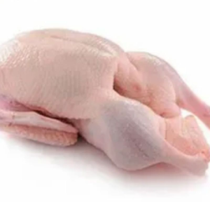 Fresh Locking Frozen Whole Duck