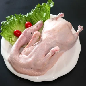 Fresh Low Fat and Healthy Frozen White Striped Duck Suitable for General Consumption