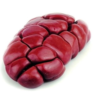 Fresh Natural Moisture Bag of Halal Frozen Bovine Liver