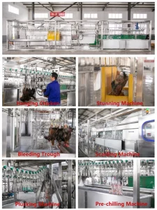 Fresh Processing Packing Slaughtering Automatic Chicken Cutting Machine