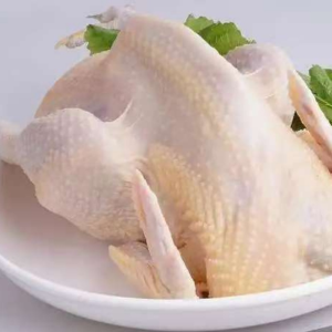 Fresh and Hygienic Frozen Whole Chicken with Traceability