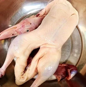 Freshly Packaged Bulk Frozen Whole Duck for Traditional