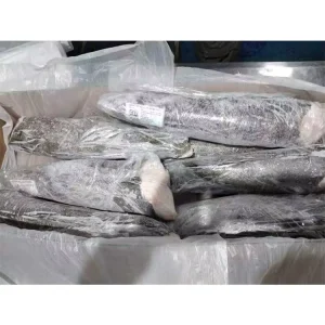 Frozen Argentina Seabass HGT