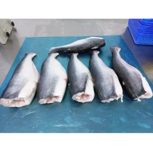 Frozen Basa Hgt Bulk Headless Gutted Tail-On Pangasius Fish Hypophthalmus Vietnam