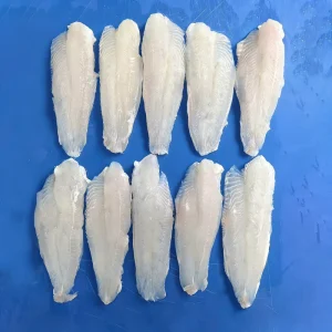 Frozen Basa Pangasius Fillet Suppliers Well Trimmed Fish 600-800g 800-1000g for Africa Market