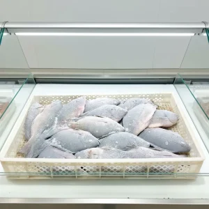 Frozen Black and Red Tilapia Fish Frozen Seafood Fresh Tilapia Frozen Tilapia Fish