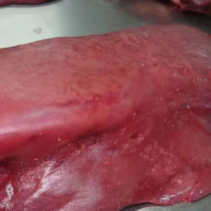 Frozen Bovine Liver Halal Vacuum Bag Fresh Natural Moisture