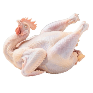 Frozen Chicken Body Halal Frozen Whole Chicken